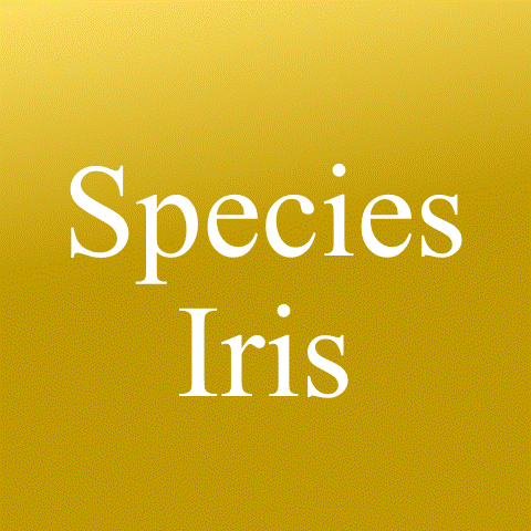  Species Class 